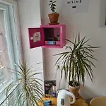 Hostel U Szermierzy Wrocław